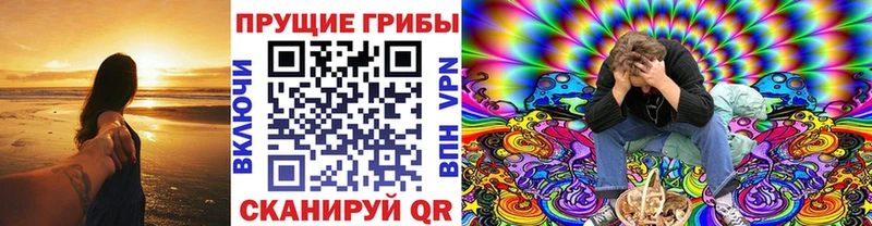 продажа наркотиков  Терек  Галлюциногенные грибы GOLDEN TEACHER 
